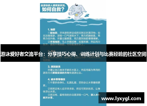 游泳爱好者交流平台：分享技巧心得、训练计划与比赛经验的社区空间